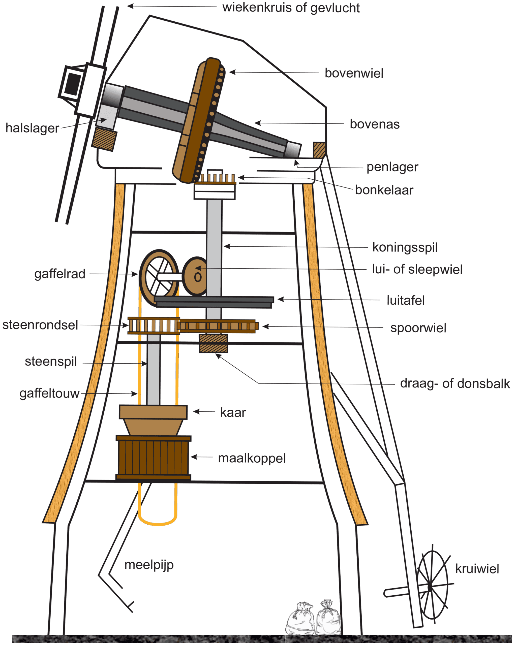 Dwarsdoorsnede molen